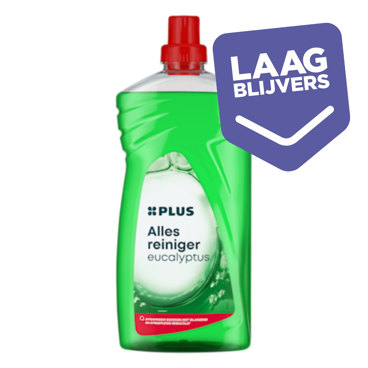 PLUS Allesreiniger eucalyptus