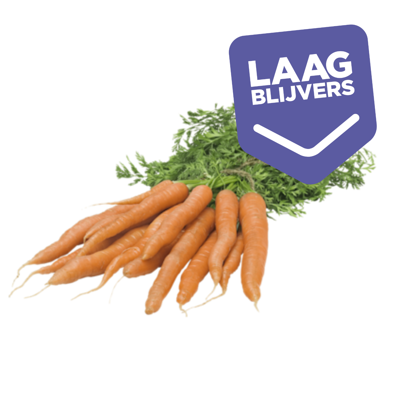 PLUS Bospeen