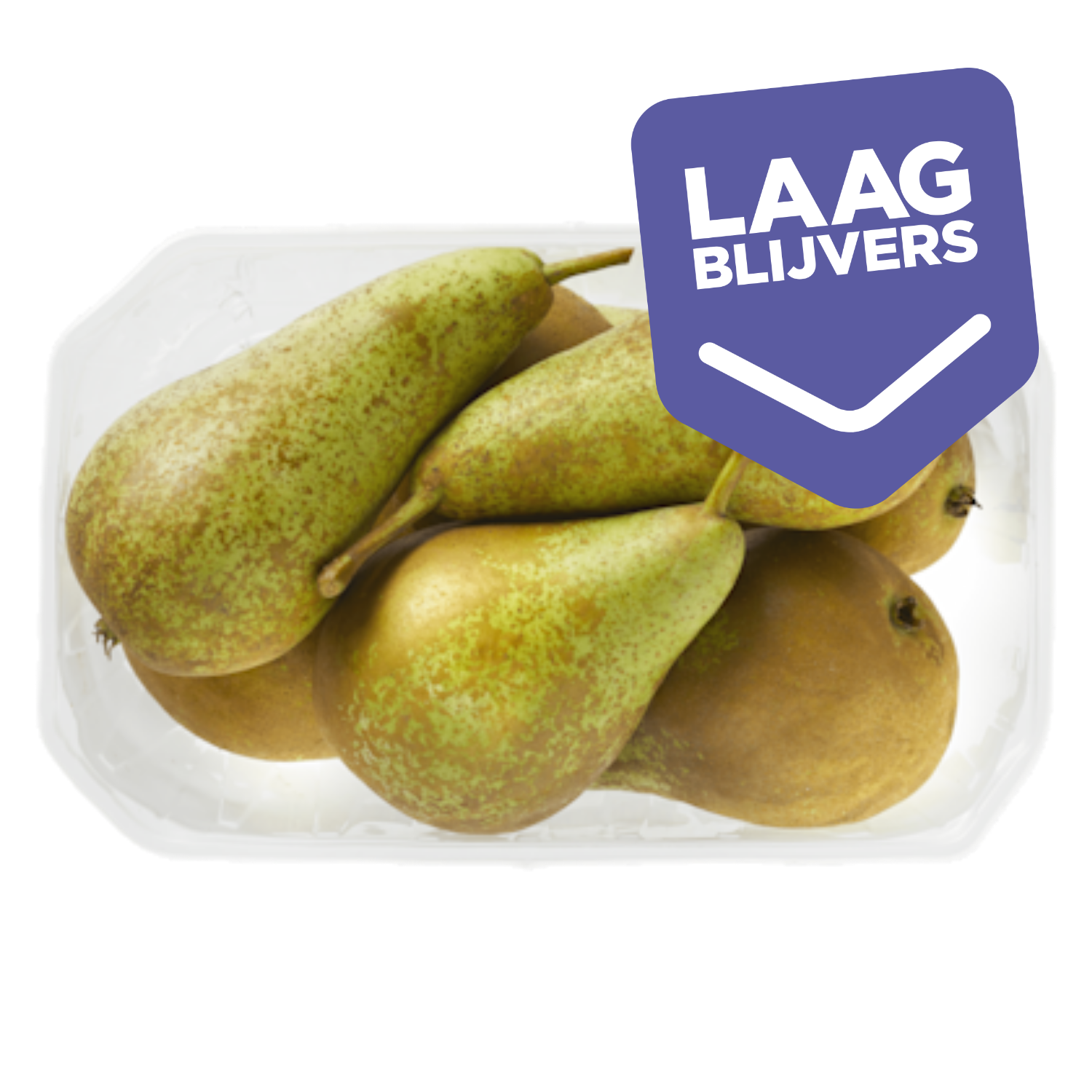 PLUS Handperen Conference