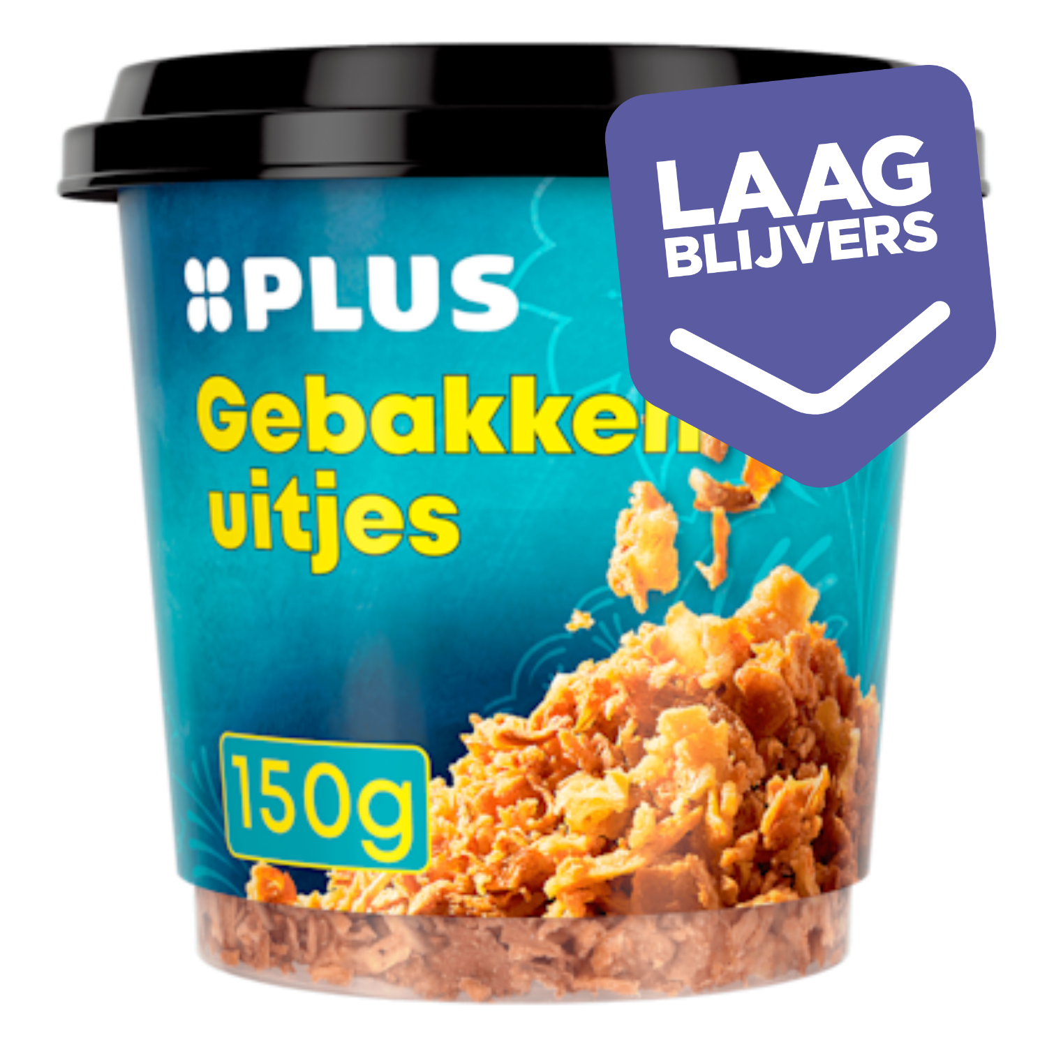 PLUS Gebakken uitjes