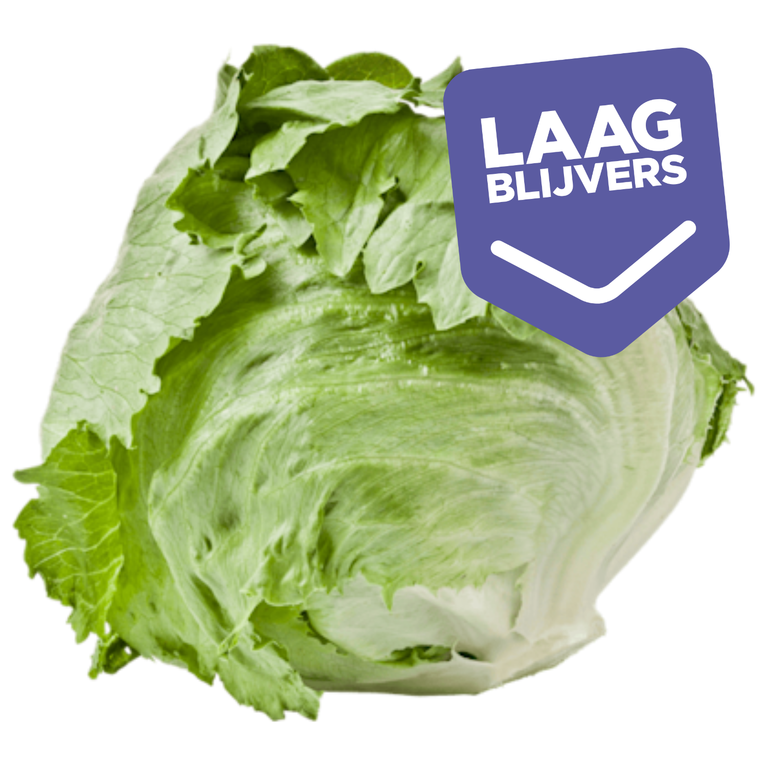 PLUS IJsbergsla krop