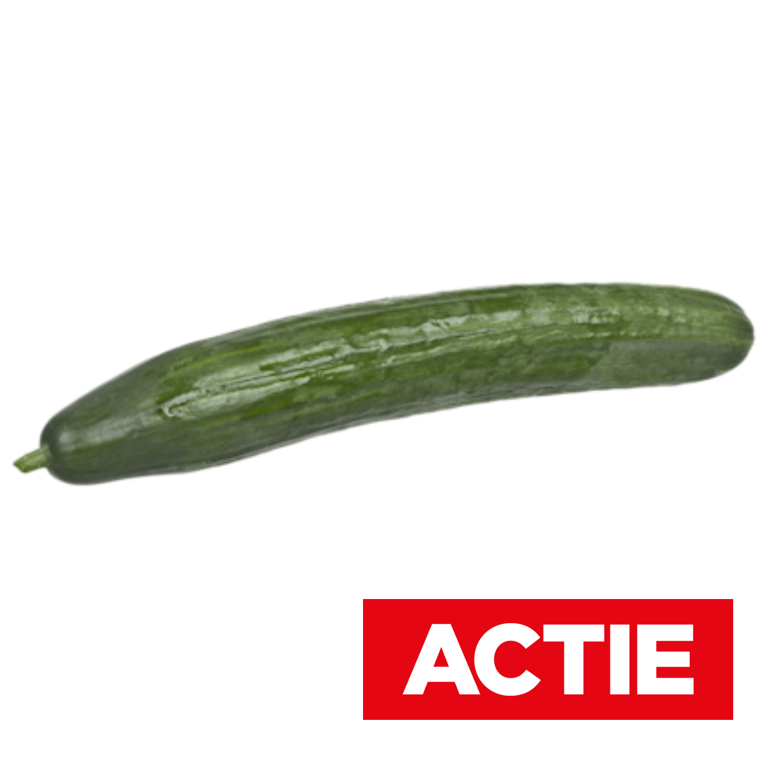 PLUS Komkommer